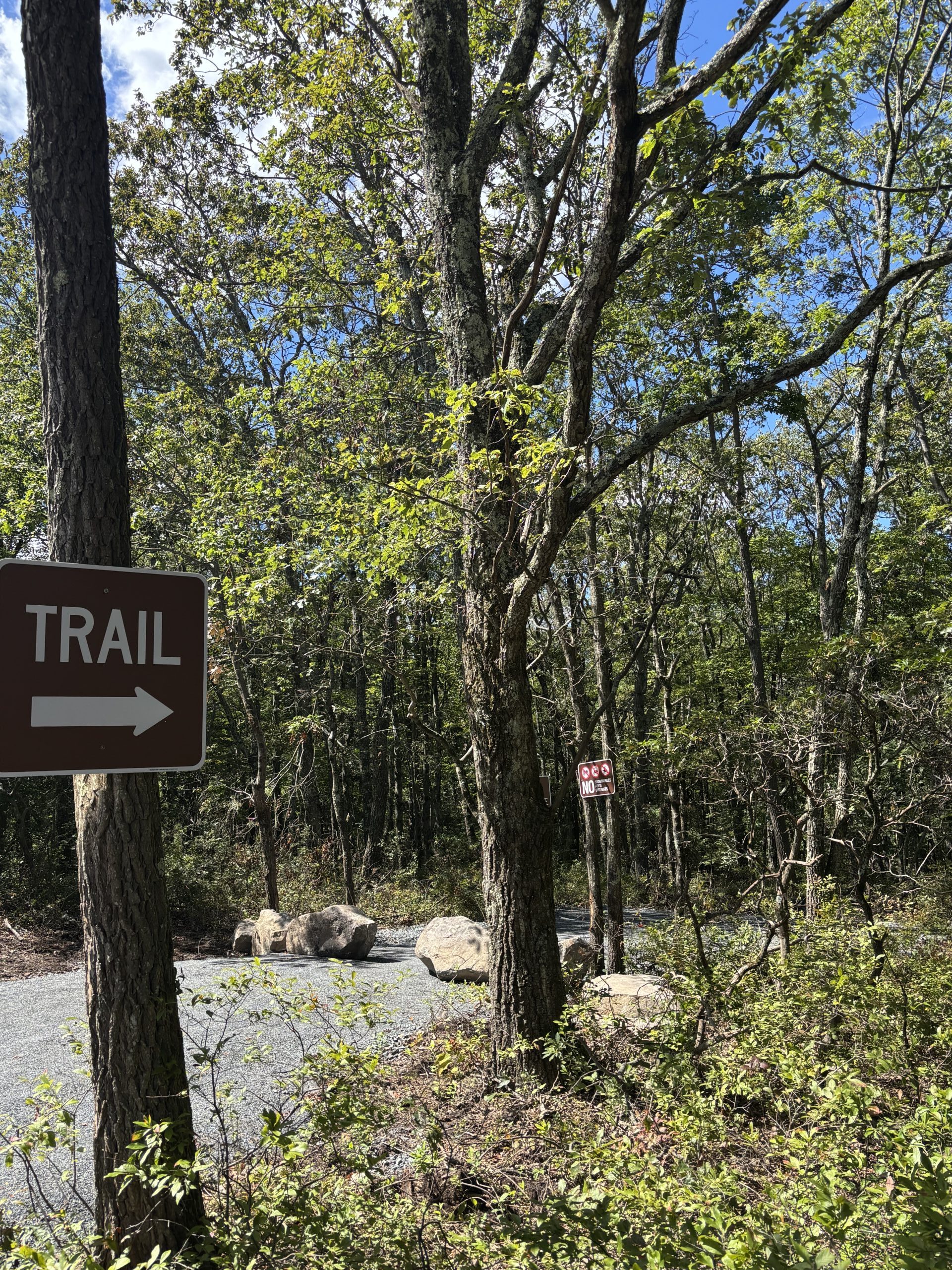 Knob trail