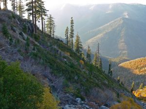 Feather River Canyon