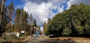 Utility workers in the field