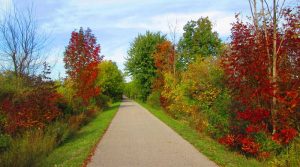 Hiking trail