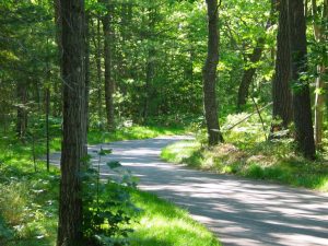 Walking trail