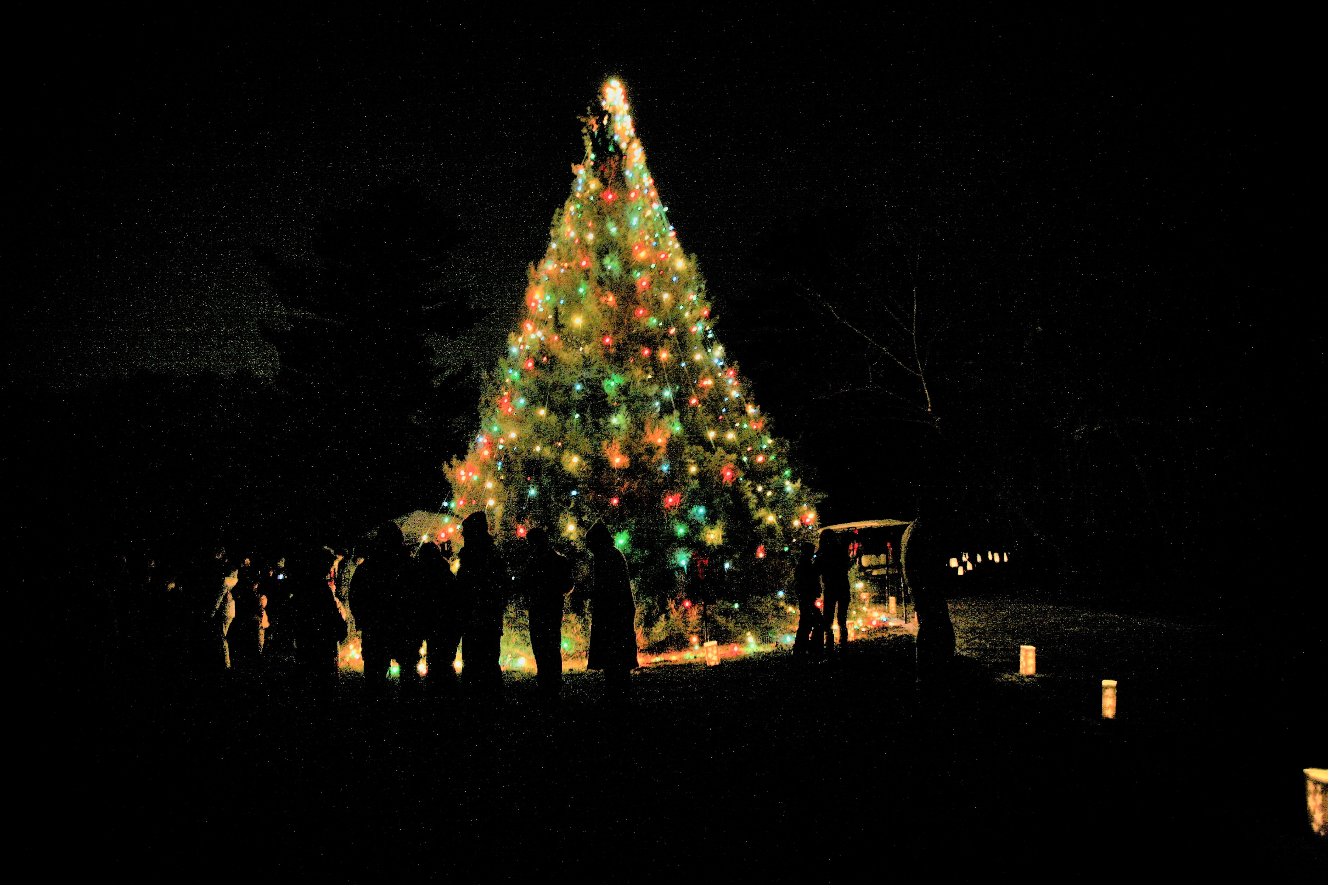 tree lighting