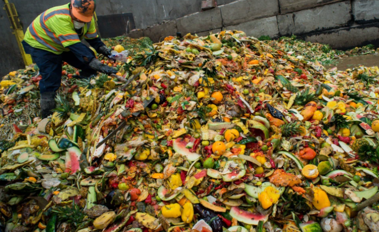 Edible Food Recovery Program - Town of Colma