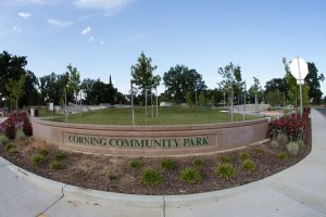 skate park sign