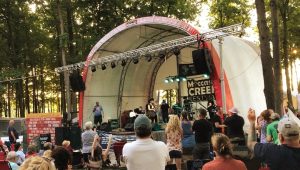 crowd watching a performance