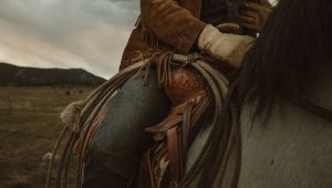 A close-up of a person riding a horse in a Western landscape.