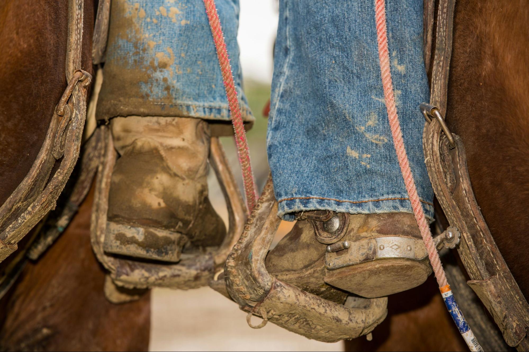 A closeup of boots in stirrups.