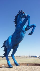 The sculpture Blue Mustang, a cast-fiberglass sculpture of a mustang located at Denver International Airport. The sculpture is colored bright blue, with illuminated glowing red eyes.