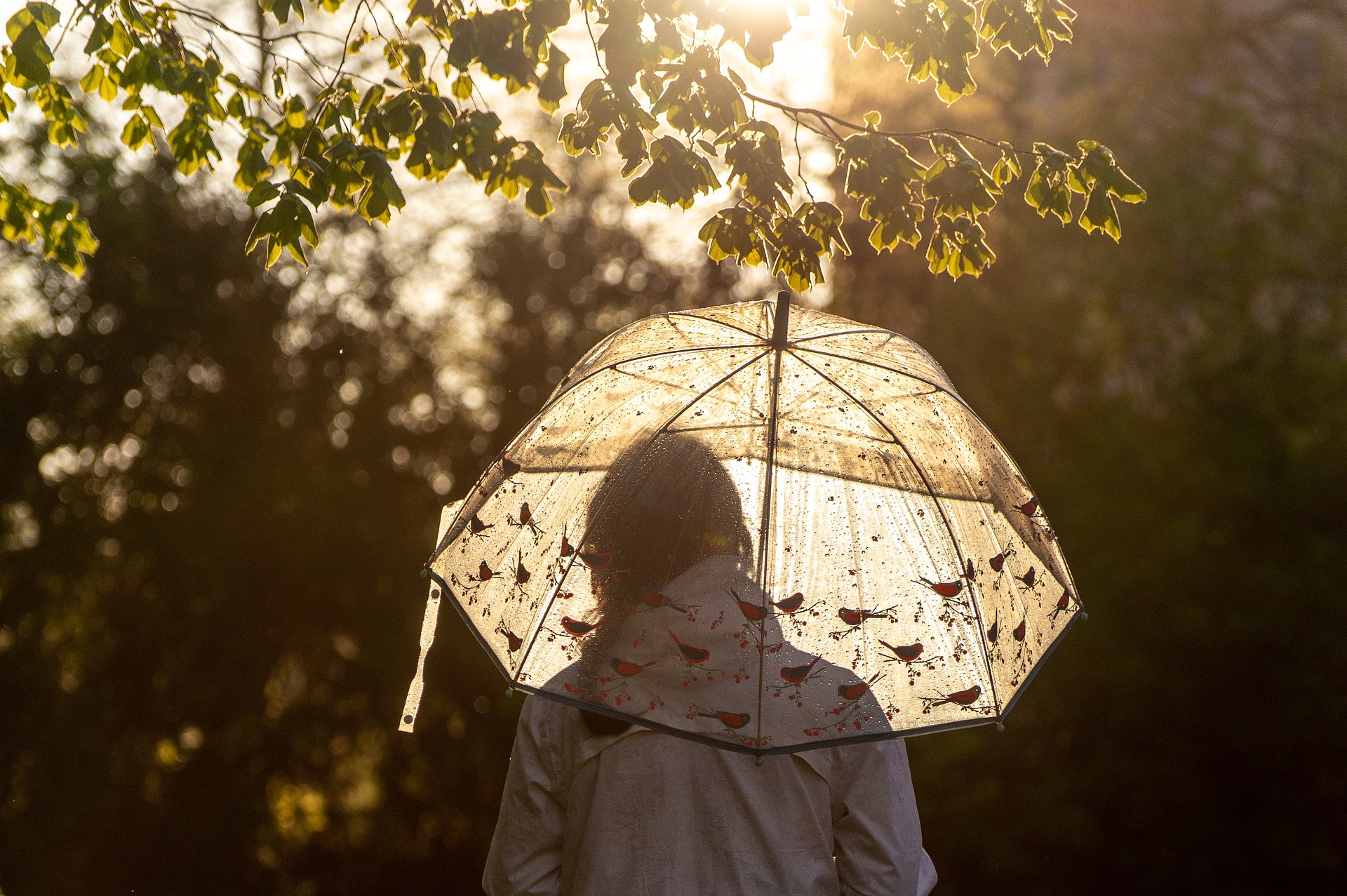 A person holding an umbrella in the rain is seen from behind. The sun is starting to shine through the rain.