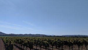 Sonoma County