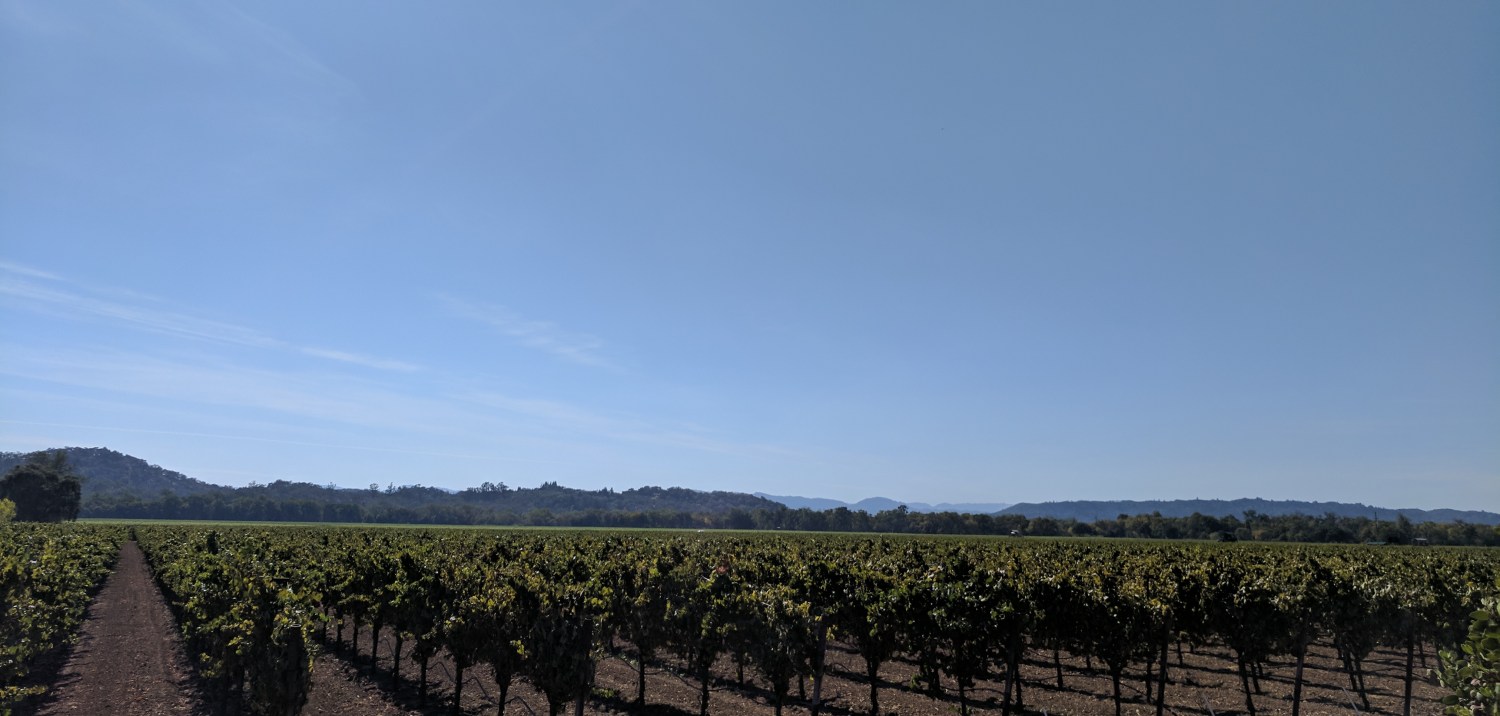 Sonoma County