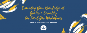 Gender and sexuality webinar