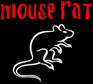 mouse rat intro