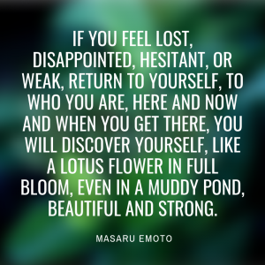 Emoto Quote