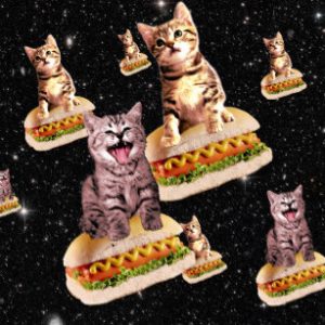 cats riding hot dogs in outer space