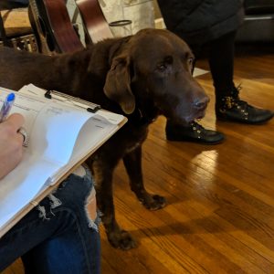 Survey on clipboard with dog in background