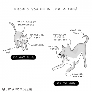 Should you go in for a hug comic with a cat, who does not want a hug, and a dog, who does want a hug.