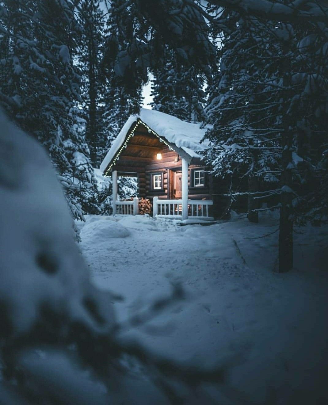 Cabin winter