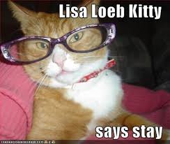 Meme with photograph of cat wearing vintage glasses and text overlay reading "Lisa Loeb Kitty Says Stay"