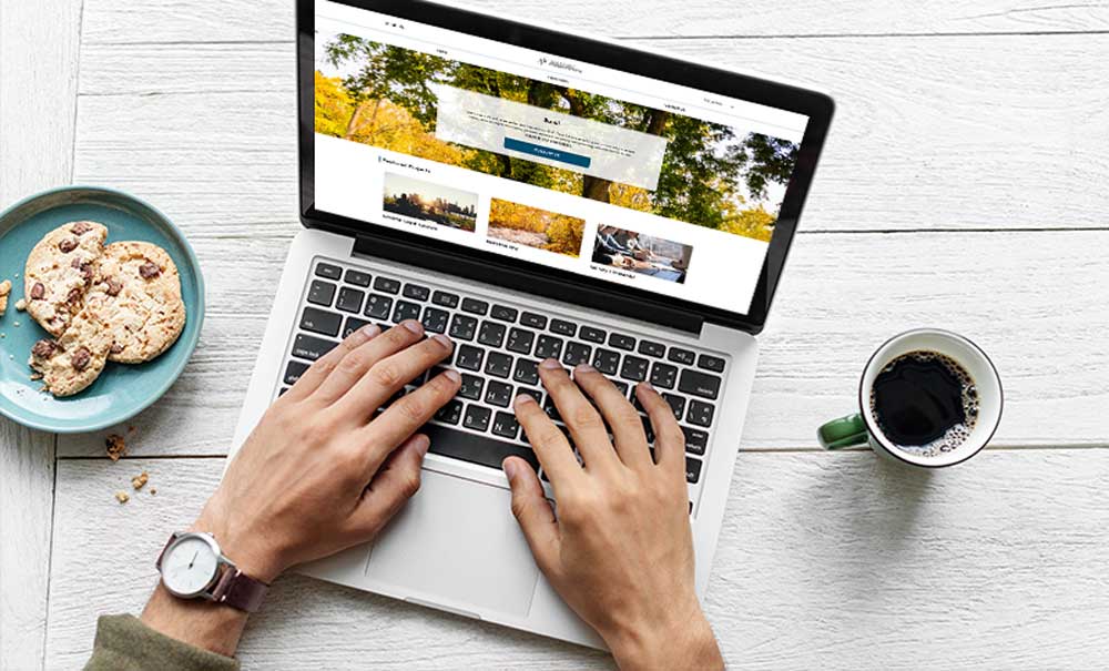 Photo of person's hands using laptop.