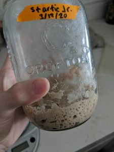 jar of bubbling sourdough starter