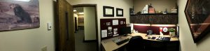 My Office in Panoramic View