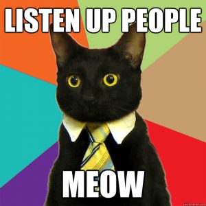 listen up people meow