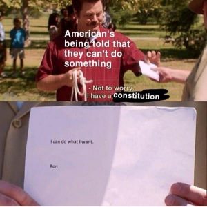 The Constitution