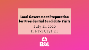 Local Gov Visits Webinar