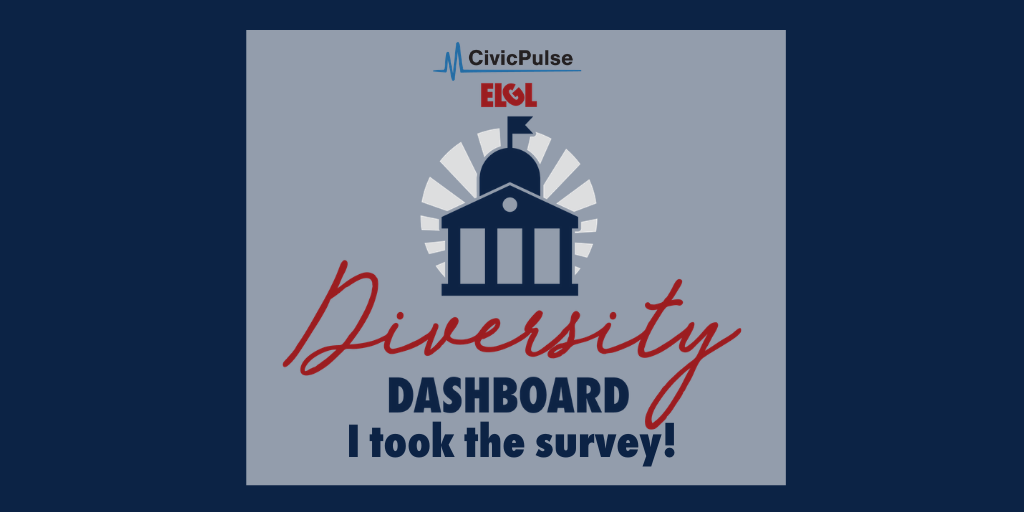 Diversity Dashboard I took the survey image