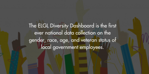 Diversity Dashboard image with text