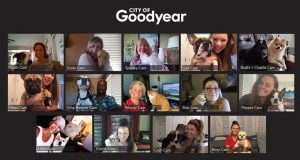 goodyear pets