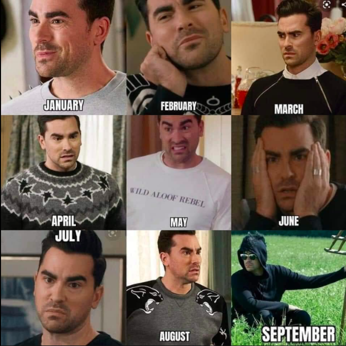 month-by-month mood for 2020, featuring David from Schitt's Creek