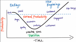 change curve of the Transitions model