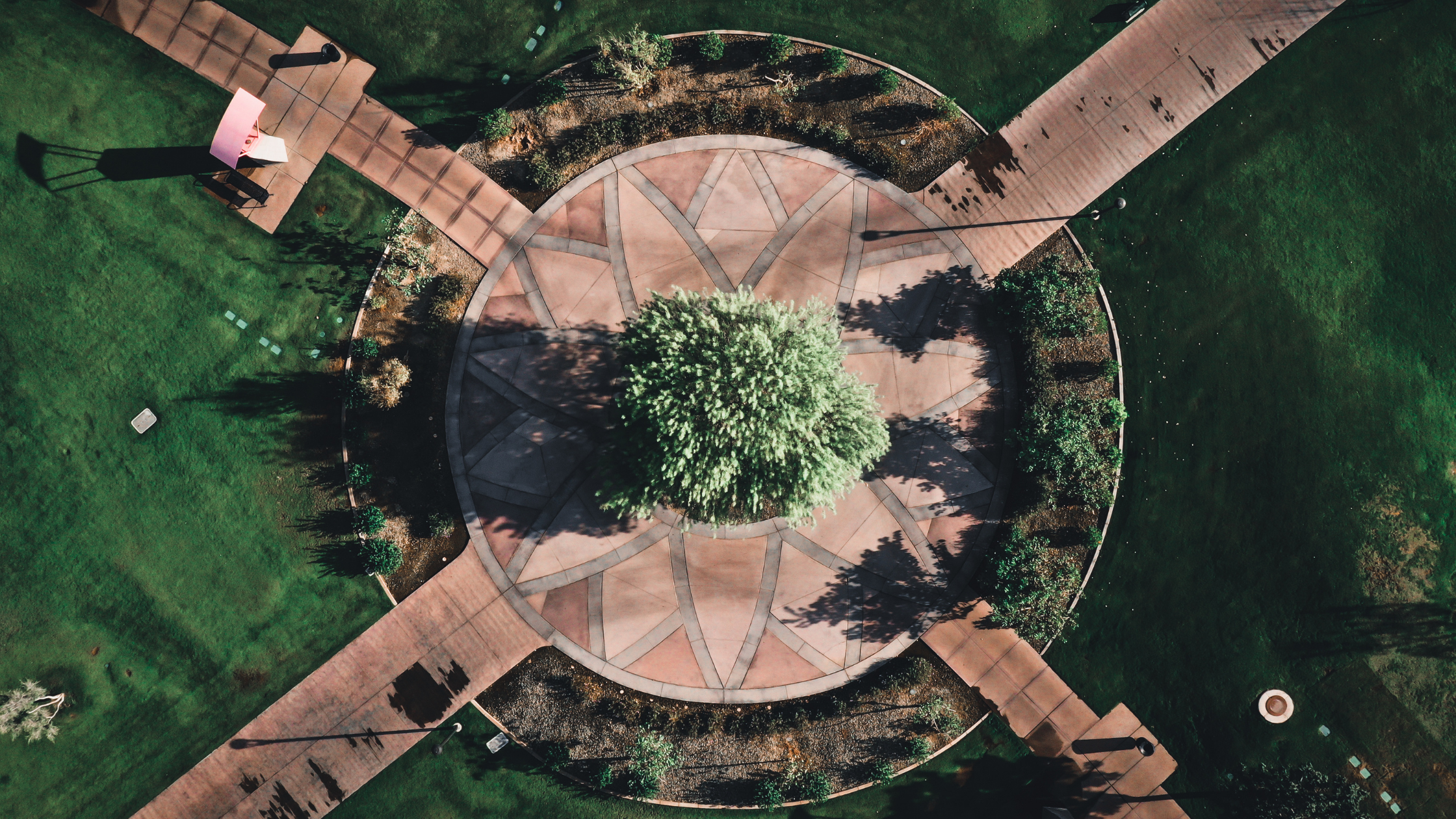 Intersection with a tree