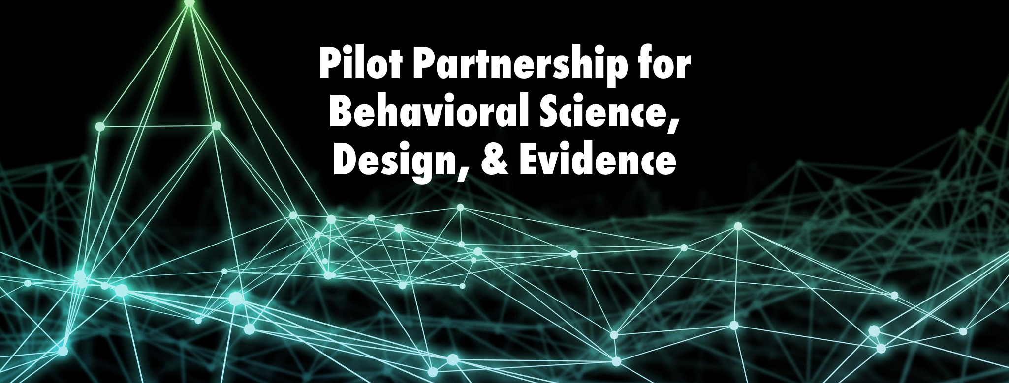 pilot partnership