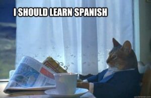 A cat that thinks it should learn Spanish