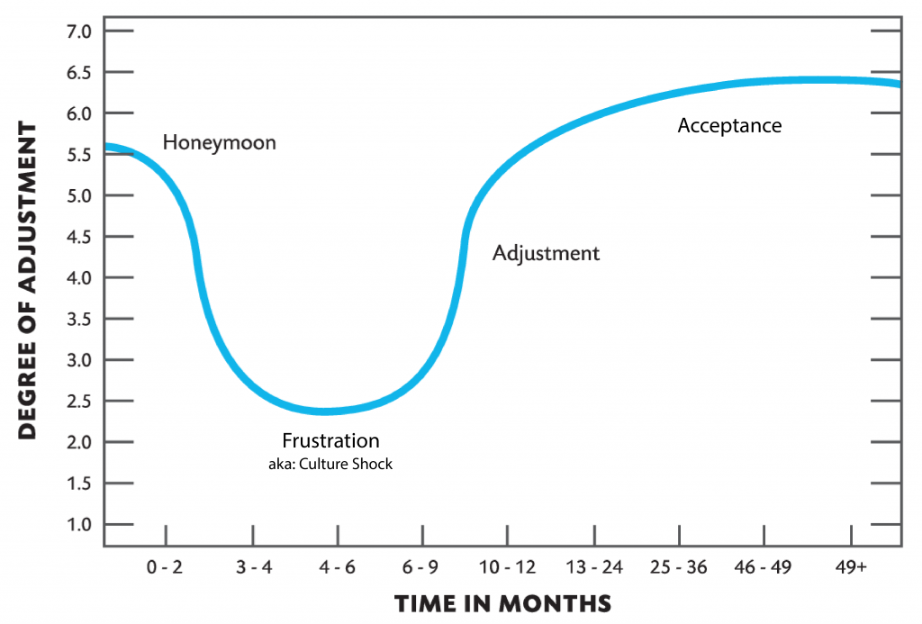Visual of shock curve