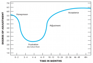 Visual of shock curve