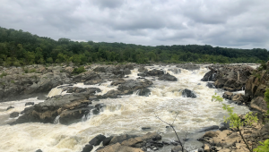 Water flowing over rocks