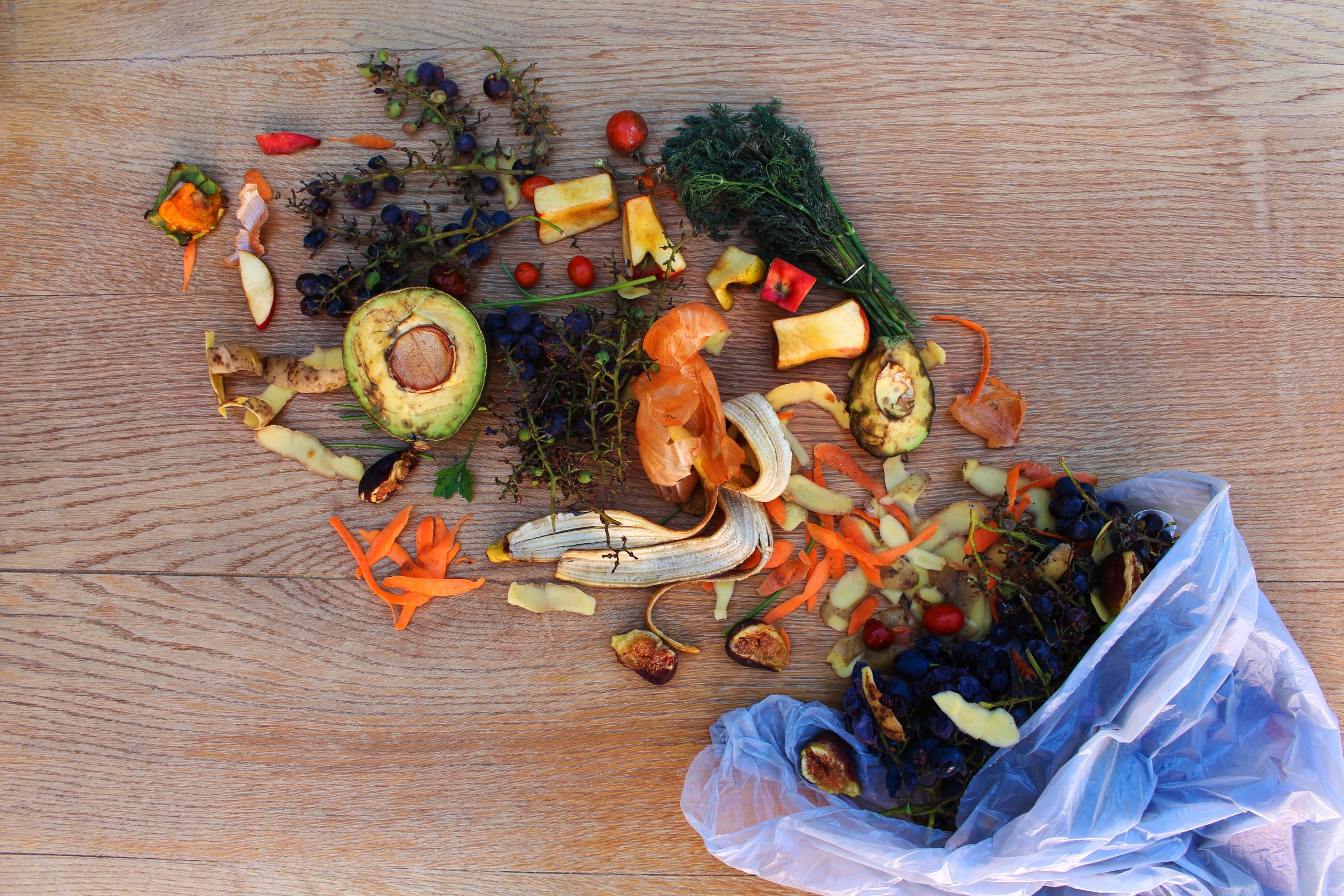 beautiful food waste image