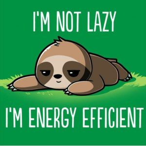 I'm not lazy, I'm energy efficient sloth