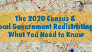 redistricting webinar