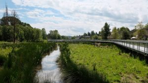 boardman wetlands