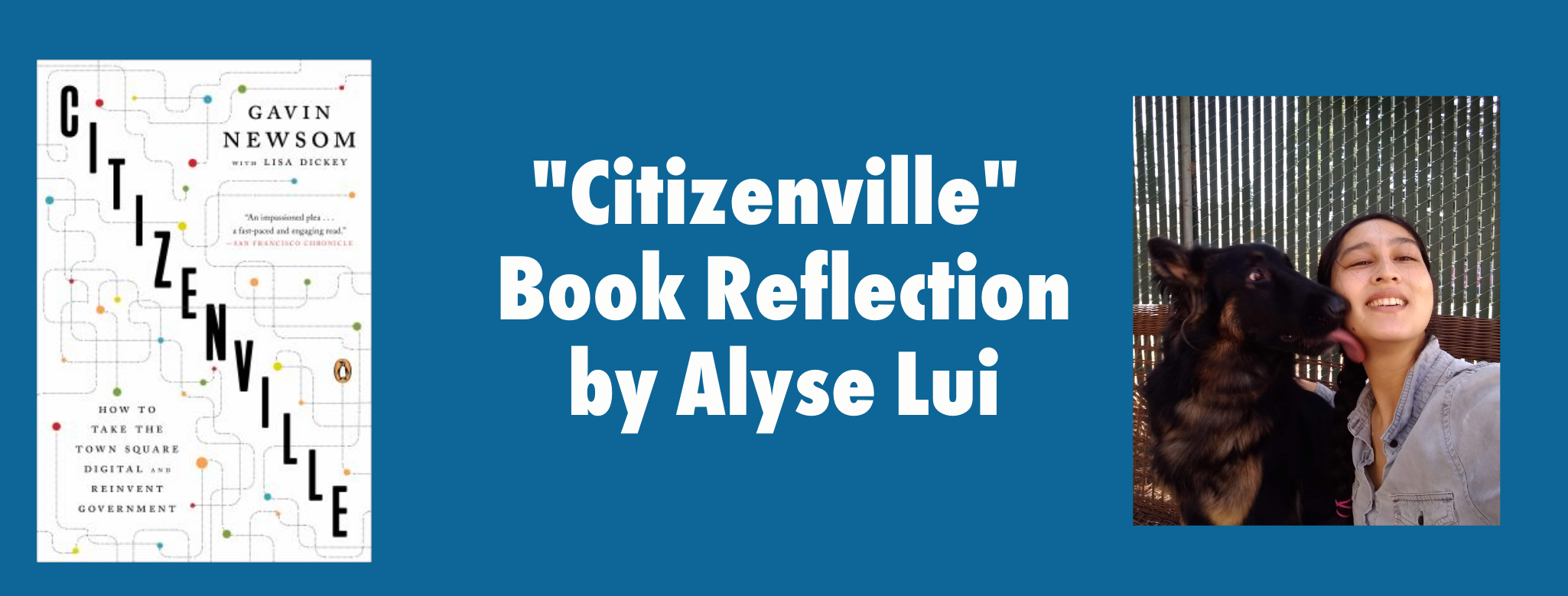 Citizenville Book Reflection