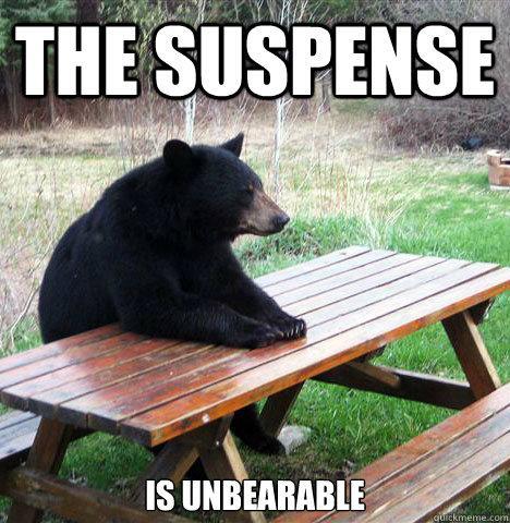 bear is waiting