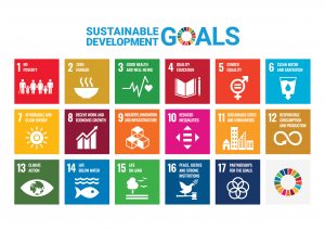 sdg poster