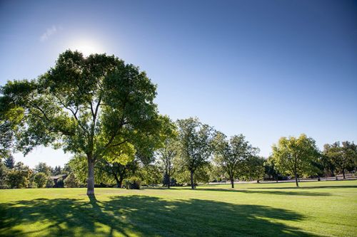 city of fort collins park