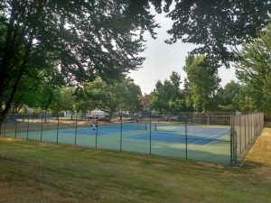 Tree canopies at tennis courts