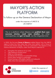 Flyer for Mayor Platform